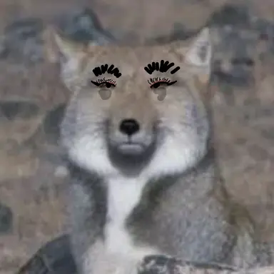 Profile image of 최여우