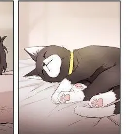 Profile image of Morgana