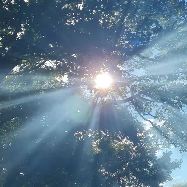 Profile image of 박영환