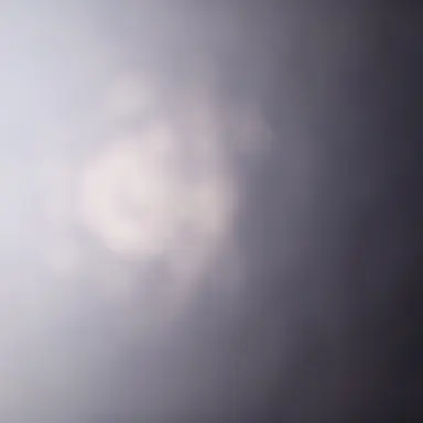 Profile image of Life