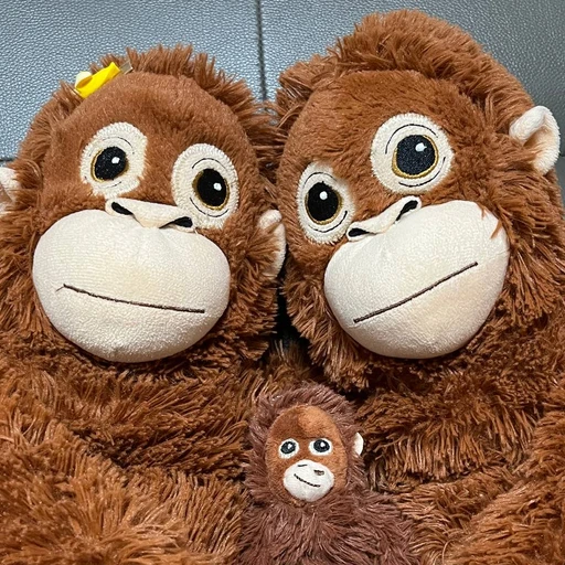 오랑이