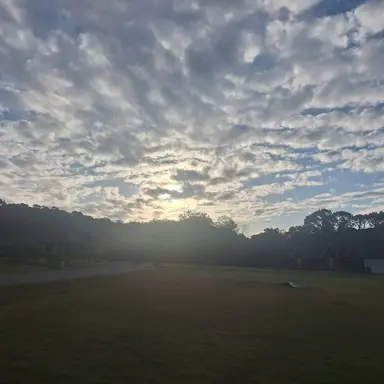 Profile image of Coach Reyes