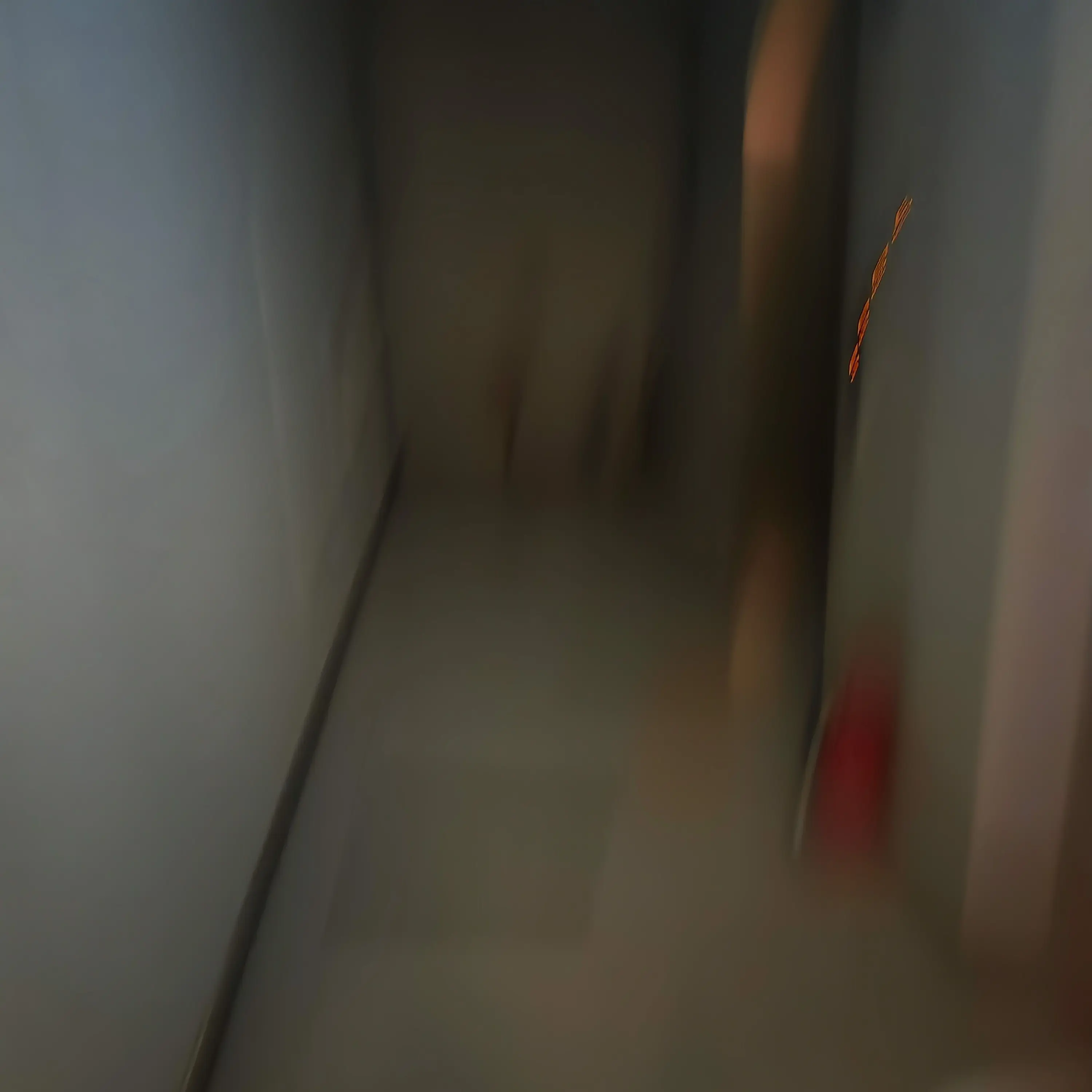 BiasedSwab6784의 학교