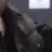 종성