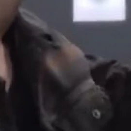 종성