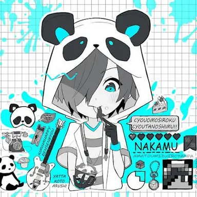 Profile image of なかむ