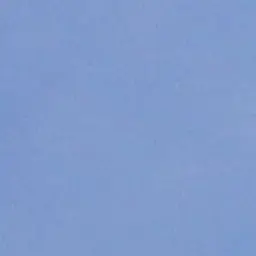 Profile image of らぴす
