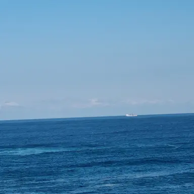 Profile image of 잠뜰