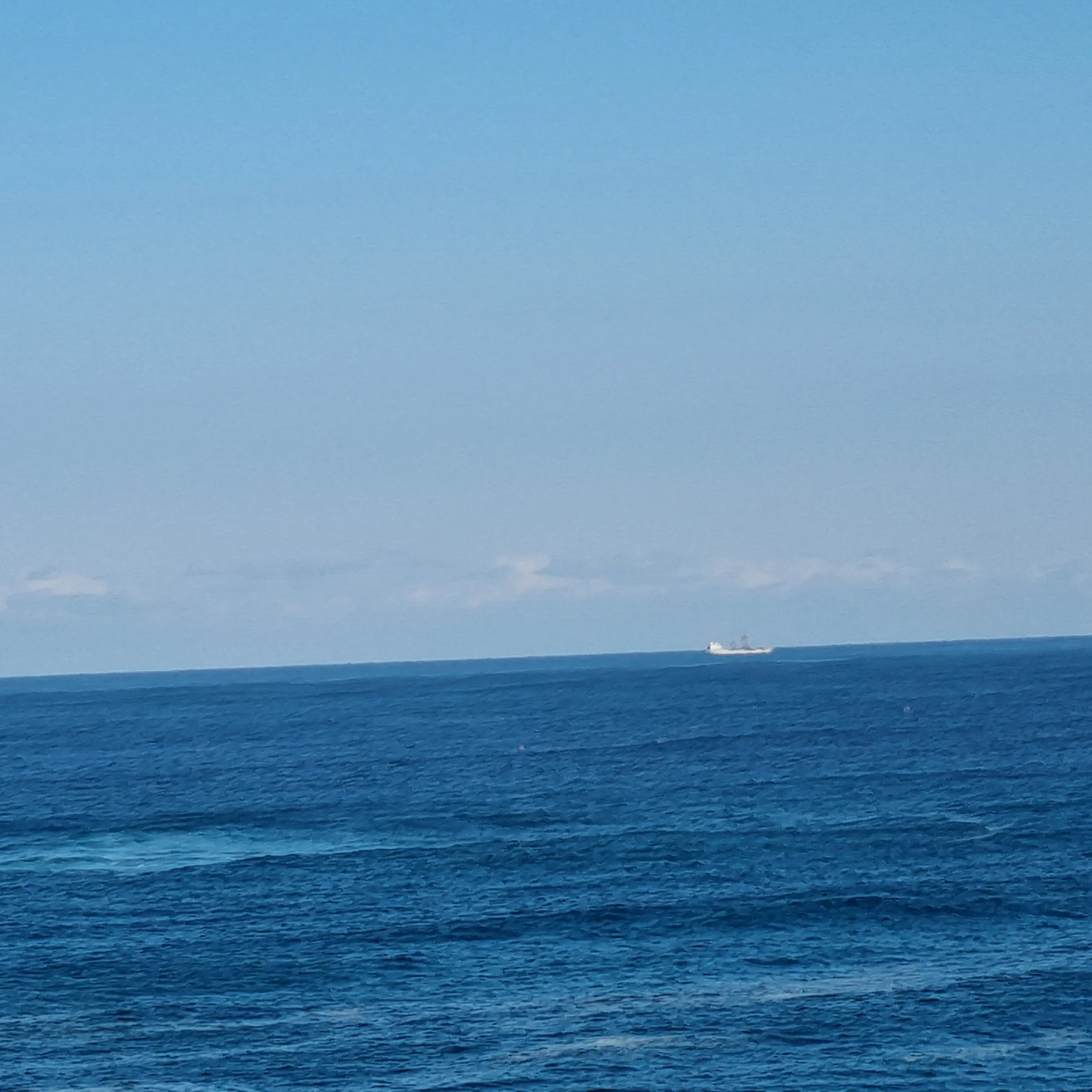 Lily-of-the-valley의 혁명-잠뜰tv