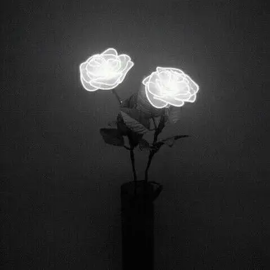 Profile image of 박덕개