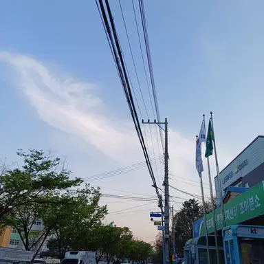 Profile image of 태노로자