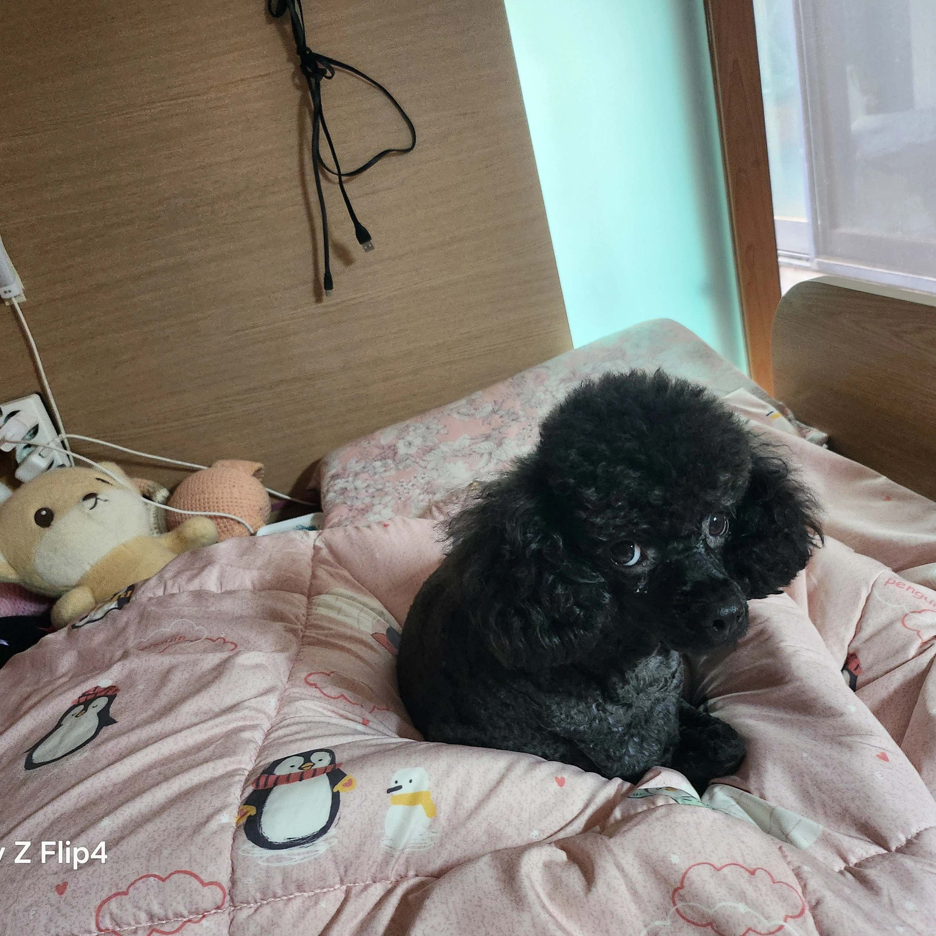 덕개