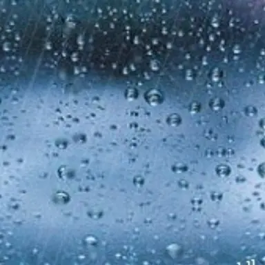 Profile image of 레위니