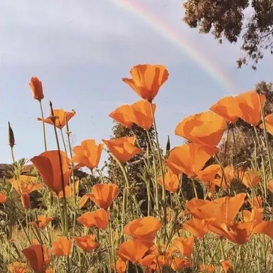 Profile image of 덕개