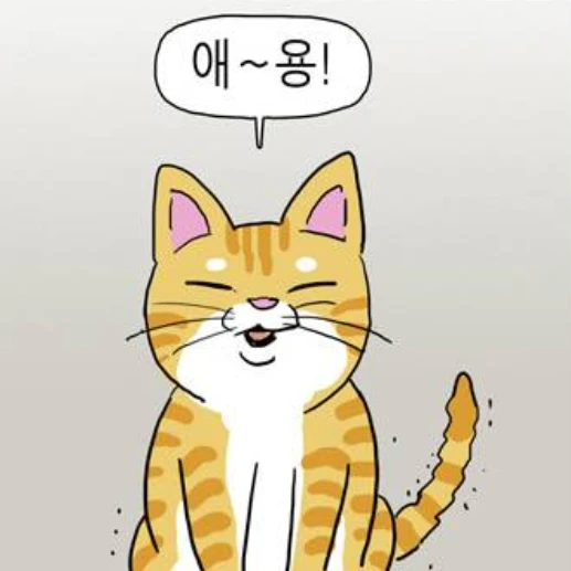 김애용