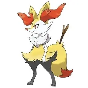 Profile image of 테르나