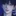 박이현