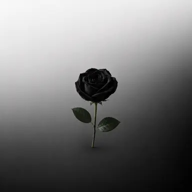 Profile image of 파크모