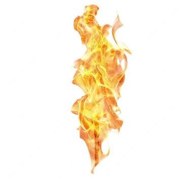 Profile image of 엠버