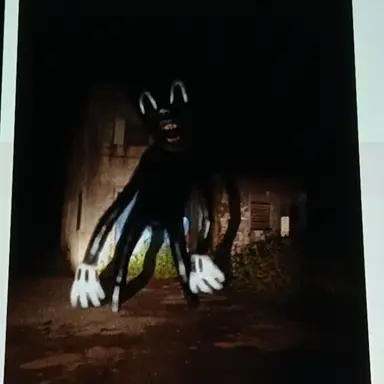 Profile image of 카툰캣