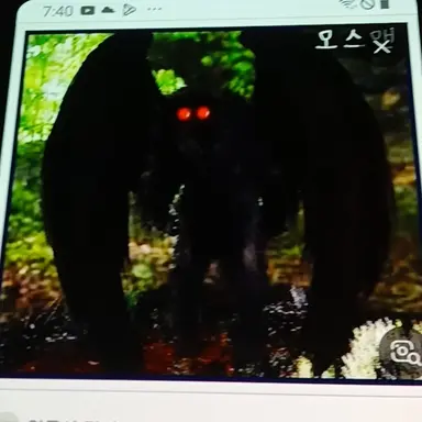 Profile image of 모스맨