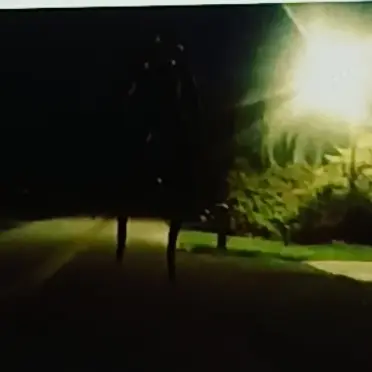 Profile image of 나이트워크