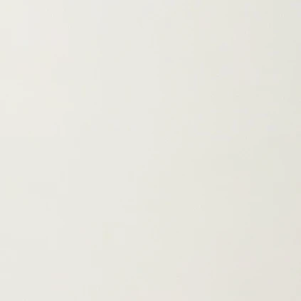 김동현
