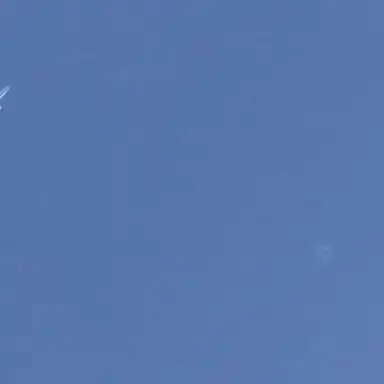 Profile image of Halt