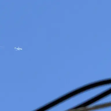 Profile image of Ambush