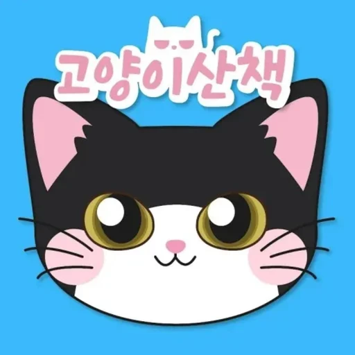 고양이산책