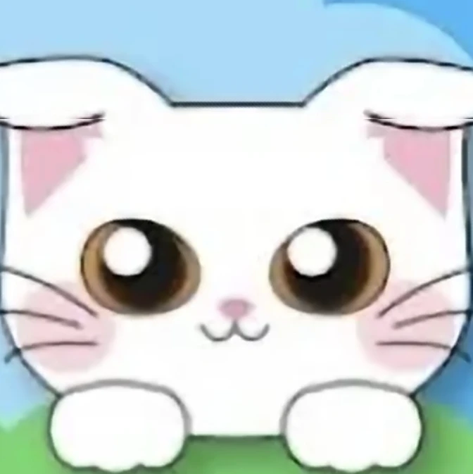 두부