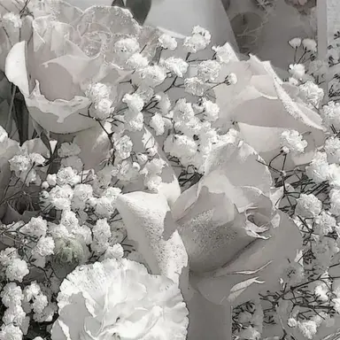 Profile image of 시미베