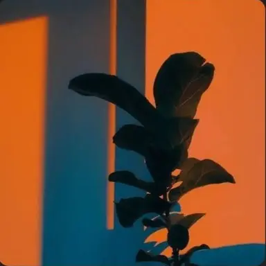 Profile image of 코마