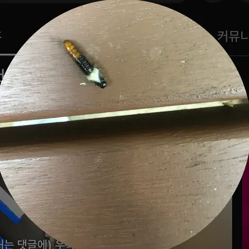 WiseHeron1458의 운현빨(래절래)