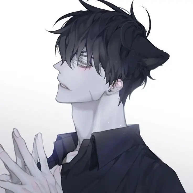 Wolves의 이 안