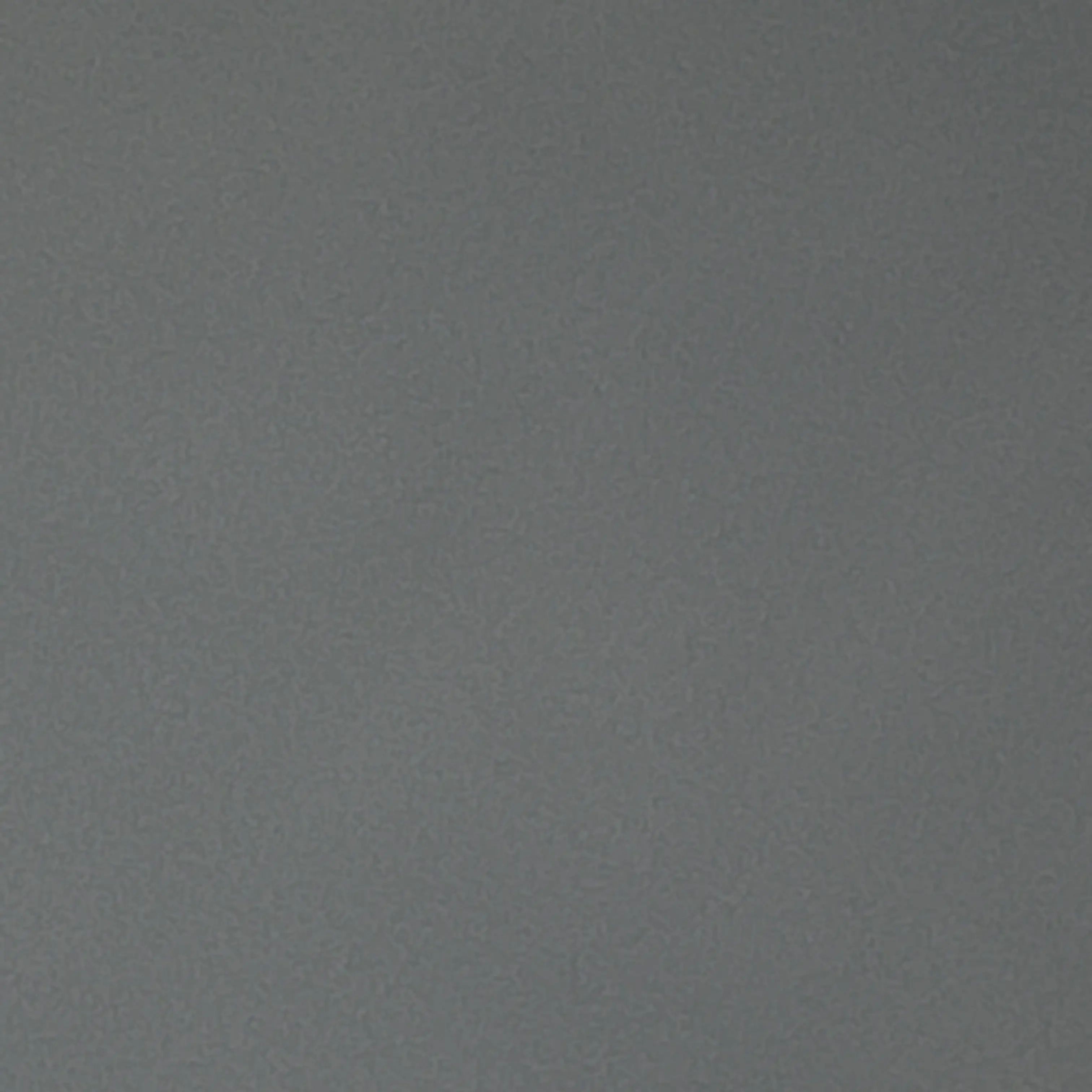 BrightOwl3975의 김동현