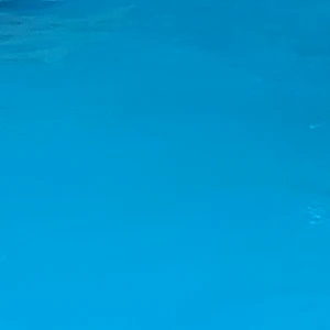 이여우