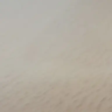 Profile image of 덕개