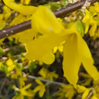 Profile image of 각별