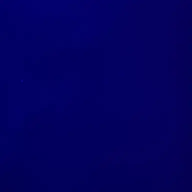Profile image of いふ