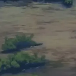 HuskyWool5527의 崩壊本丸