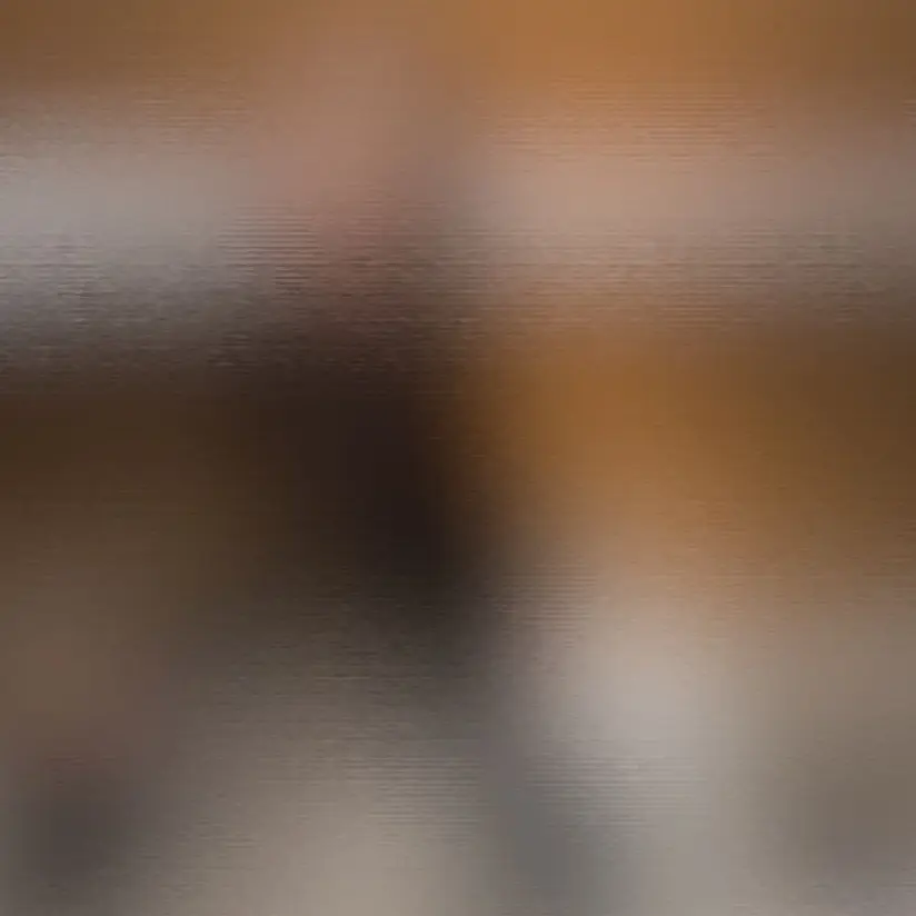 MmmmYyyy의 김 애 리