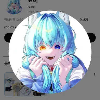 Profile image of 료미