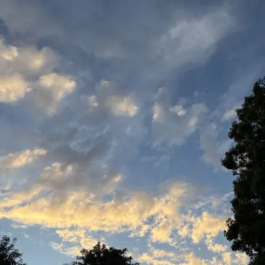 Profile image of ナチス