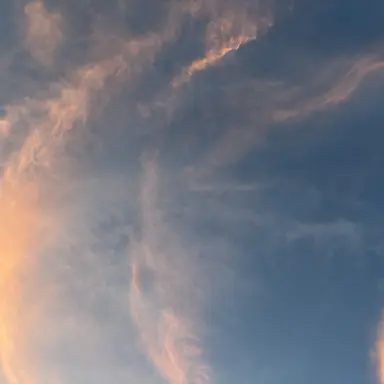 Profile image of イタ王