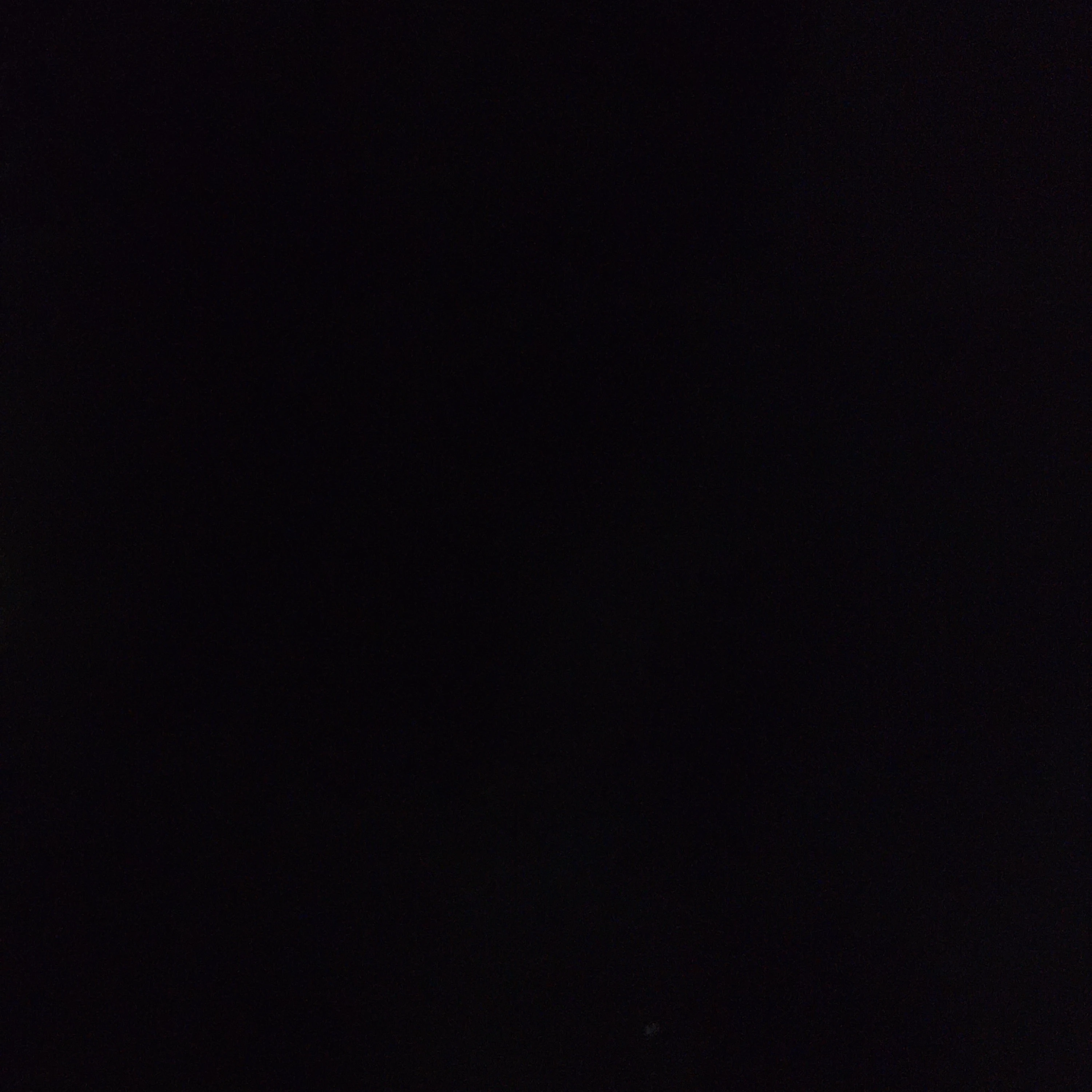 체연쭌