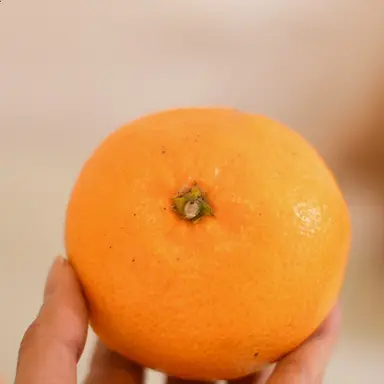 Profile image of 김여후