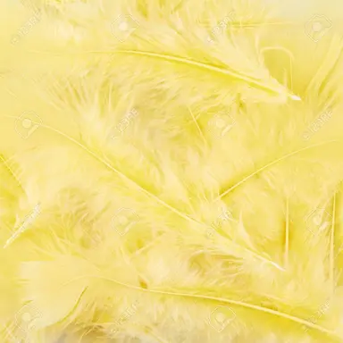 Profile image of 岩本