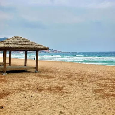 Profile image of 보건쌤 박서현