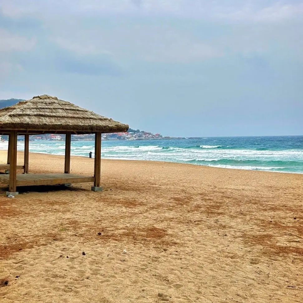 ThickBarb9863의 유당불내증이 있는 유저